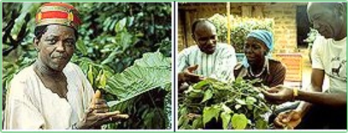 Photo of ethnobotanists discussing plans.