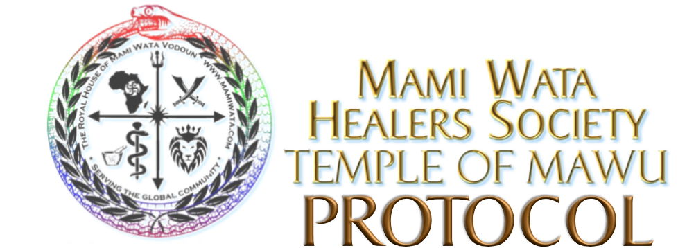 Protocol Logo