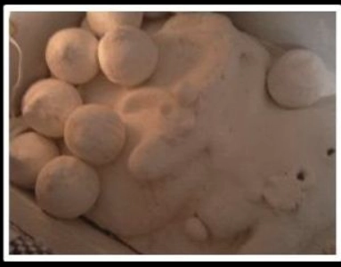 Mama Zogbe and Zodede.
